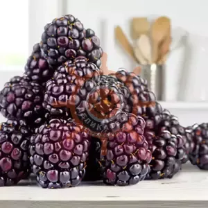 Ежемалина, Киргизия 2,1кг- 1 ящик